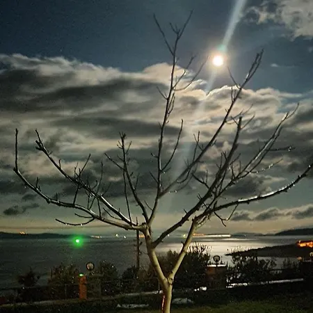 Mordogan Tas Konakta Doga Ve Deniz Tatili Villa *